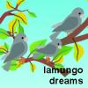 lamungo dreams1