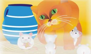 die katze sucht freunde 5 intro